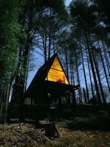 Příroda nedaleko luxury tent