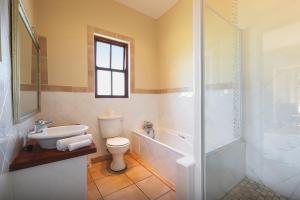 ein Bad mit einem WC, einem Waschbecken und einer Dusche in der Unterkunft Temba Private Game Reserve in Grahamstown