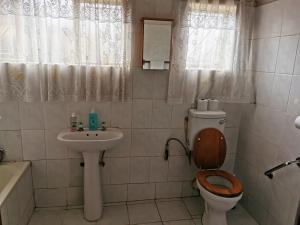 a small bathroom with a toilet and a sink at GLESTER GUEST HOUSE in Pretoria