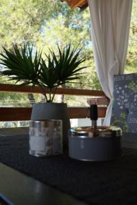 Gallery image of DM mobile home in Jezera +12 photos