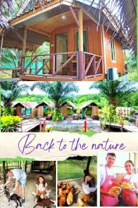 a collage of photos of a home and a family and a picture at YaoIsland Resort and Farm in Ko Yao Yai