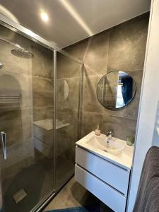 La salle de bains est pourvue d'une douche, d'un lavabo et d'un miroir. dans l'établissement Le Spanorama; gîte premium, à Vincelles
