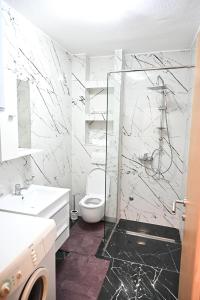Apartman Felix的一间浴室