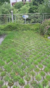 A garden outside Apartment Welser