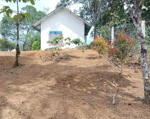 a house in the middle of a dirt yard with trees at Munnar Hills & Mist View in Anachal