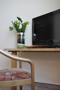 a plant sitting on a table next to a tv at Rennsteighotel Herrnberger Hof in Neuhaus am Rennweg