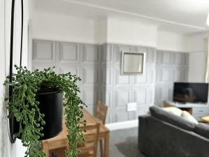 una planta verde en una olla negra en una sala de estar en Charming Apartment Near Broad Green Hospital, en Liverpool