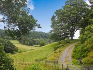 a dirt road on a grassy hill with a tree at 1 bed in Bala 88450 in Llandderfel