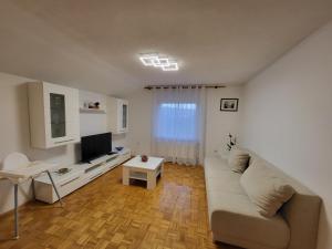 TV a/nebo společenská místnost v ubytování Apartmaji Peric