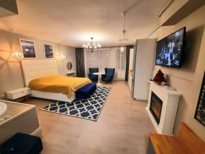 um quarto com uma cama e uma sala de estar com lareira em Romantic Jacuzzi Luxury Apartment em Sinaia
