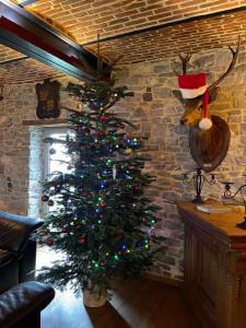 Un albero di Natale con un cappello di Babbo Natale su un muro di Les Confidences de Messire Sanglier, stylished guest houses a Beauraing