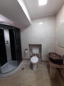 a bathroom with a toilet and a sink and a tub at Vilele Birta in Văliug