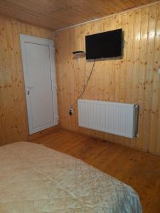 1 dormitorio con 1 cama y TV en la pared en Vilele Birta, en Văliug
