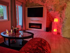 een woonkamer met een open haard en een televisie bij Le clos des violettes in Amboise