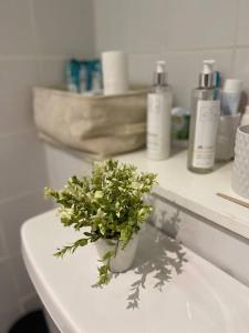 a plant sitting on top of a toilet in a bathroom at In Dublin's Best Tourist Spot Temple Bar Fully Renovated in Dublin