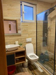 La salle de bains est pourvue de toilettes, d'un lavabo et d'une douche. dans l'établissement Villa Gjelbër 1, à Prizren