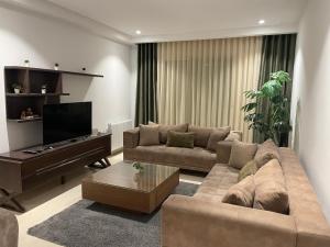 a living room with a couch and a flat screen tv at Appartement Les Pergolas in Ariana