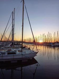 eine Gruppe Segelboote, die bei Sonnenuntergang in einem Hafen anlanden in der Unterkunft Fleur Australe in Gruissan