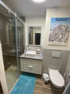 La salle de bains est pourvue de toilettes, d'un lavabo et d'une douche. dans l'établissement Appartement 290 Moulin B - 1200 Châtel - Linga, à Châtel