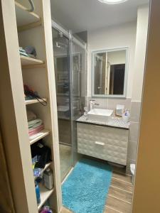 La salle de bains est pourvue d'une douche, d'un lavabo et d'un miroir. dans l'établissement Appartement 290 Moulin B - 1200 Châtel - Linga, à Châtel