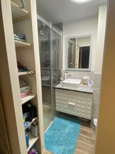 a bathroom with a shower and a sink and a mirror at Appartement 290 Moulin B - 1200 Châtel - Linga in Châtel