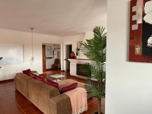 a living room with a couch and a fireplace at Penthouse Alentejana in Vila Nova de Milfontes