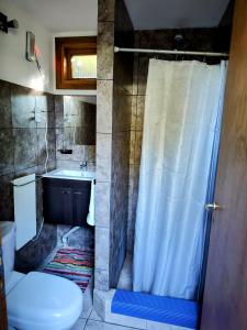 a bathroom with a shower and a toilet and a sink at Cabaña de montaña Ruca Calel in San Carlos de Bariloche