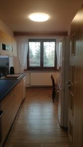uma cozinha com um frigorífico, uma mesa e uma janela em Apartmán Tereza Děčín em Děčín