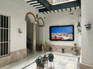 een woonkamer met een tv aan een muur met planten bij APARTAMENTO CÁDIZ TERRAZA - Pleno Casco Histórico in Cádiz