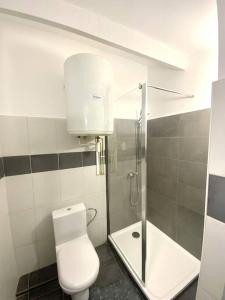 a bathroom with a toilet and a shower at Appartement proche de la plage d'Algajola in Algajola