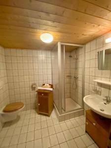 e bagno con doccia, servizi igienici e lavandino. di Älpler Stuba Appartements am Lärchenhof a Warth am Arlberg