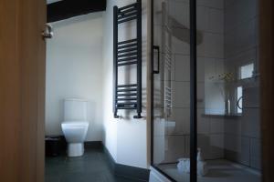 a bathroom with a toilet and a glass shower at Rigney Bank House, South Lakes Luxury Apartments in Milnthorpe