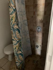 a shower with a toilet and a shower curtain at Lovely Studio Apt in Whim Estate-near Scarborough in Scarborough