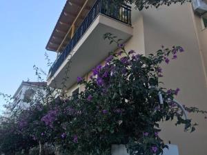 a balcony with purple flowers on the side of a building at Marinos Studios in Póros Kefalonias