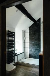 a bathroom with a shower and a toilet at Rigney Bank House, South Lakes Luxury Apartments in Milnthorpe