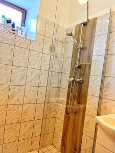 a shower with a wooden door in a bathroom at PöttyösOtthon Vendégház in Tiszabábolna