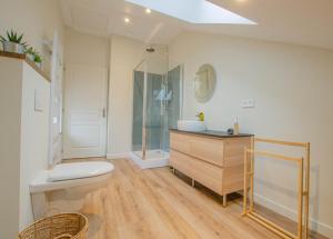 Un baño con inodoro, lavabo y ducha. en Escale en champagne, en Proverville 14 fotos más