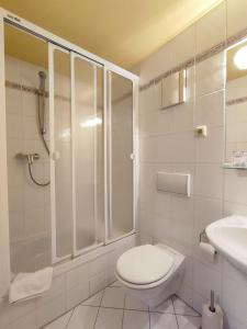 a bathroom with a toilet and a shower and a sink at Auersberg Haus in Eibenstock