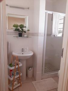 a small bathroom with a sink and a shower at Stay on Lane in Swellendam