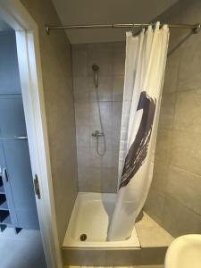 a shower with a shower curtain in a bathroom at Antwerp City apartment 3 in Antwerp