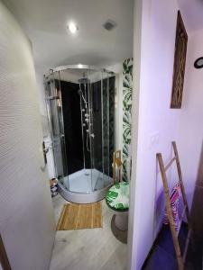 a bathroom with a shower with a toilet in it at La cabane de rose in Fresse-sur-Moselle