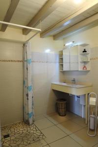 ein Badezimmer mit Waschbecken und Dusche in der Unterkunft Le pre des marguerites in Rosnay-lʼHôpital