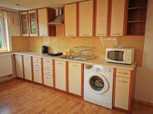 W kuchni znajduje się pralka i kuchenka mikrofalowa. w obiekcie Willa Hamernik AGROTURYSTYKA w mieście Tylicz