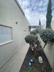 a house with two trees and shoes in front of it at בית בעמק בעיצוב מודרני וחמים in Bet Sheʼan