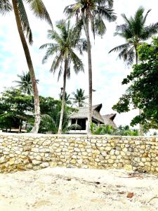 uma parede de pedra na praia com palmeiras em Private Beachfront Villa in Siargao em General Luna