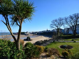 a view of a beach with a palm tree at 1 bed in Llansteffan 74267 in Ferryside