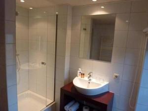 y baño con lavabo y ducha. en Herberg St. Brigida, en Noorbeek