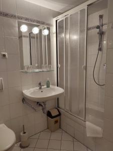 y baño con lavabo, ducha y aseo. en Auersberg Haus en Eibenstock