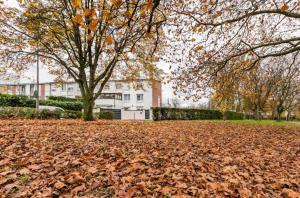 une pile de feuilles sur le sol devant une maison dans l'établissement Appart cosy avec terrasse, à Mons-en-Baroeul