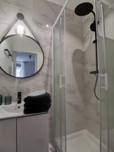 bagno con doccia, specchio e lavandino di studio 1/2 lesage#garedereims a Reims